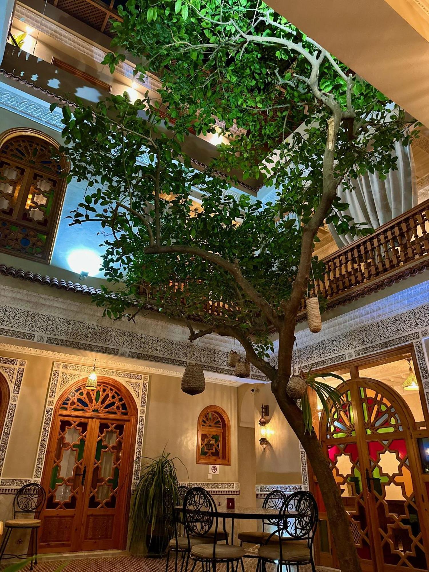 Riad Shajara Marrakesch Exterior foto